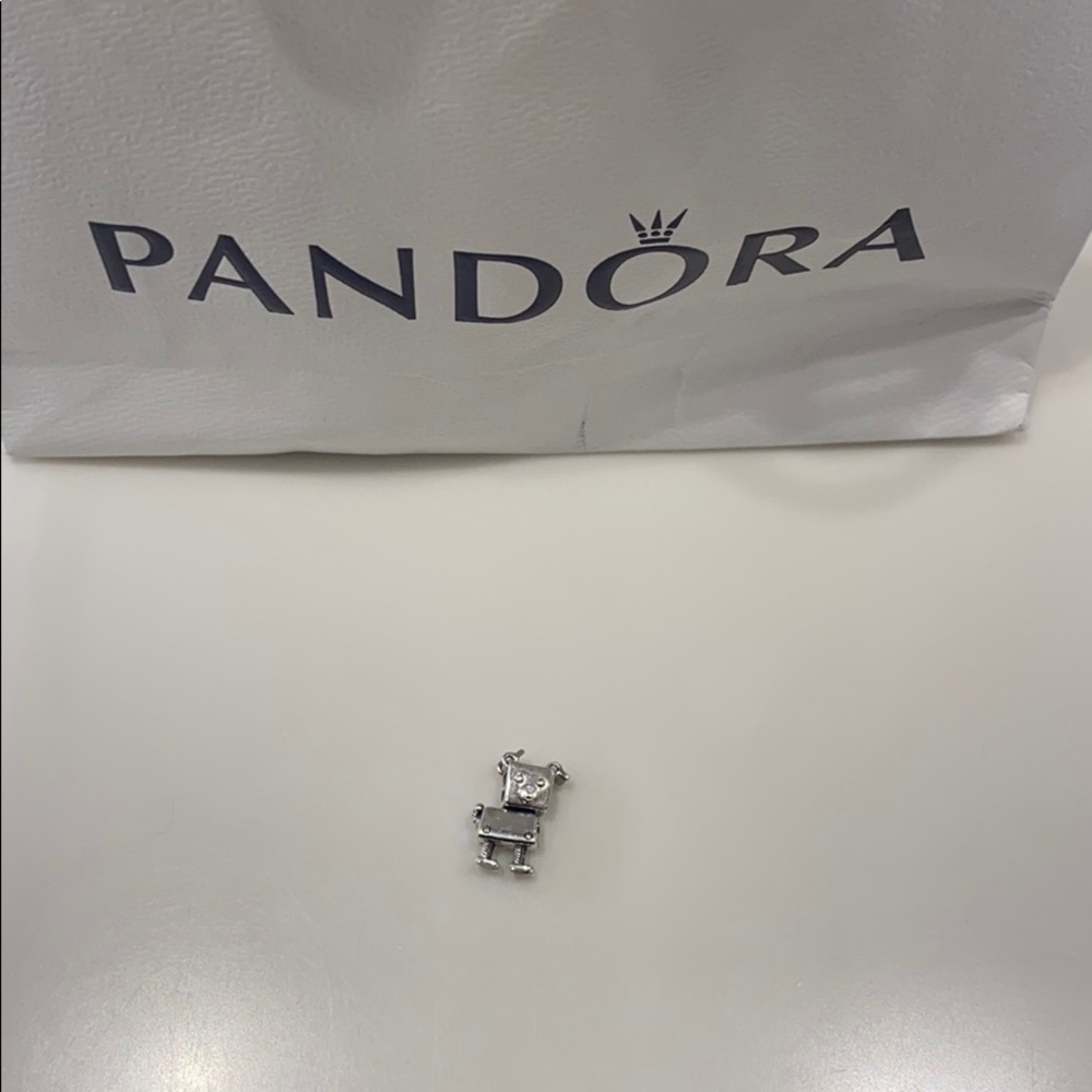 Never used puppy pandora charm!